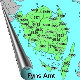 Fyns Amt